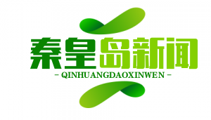 北戴河国际夏令营外教猥亵案开庭，机构涉嫌滥用旅游签证规避审查引关注